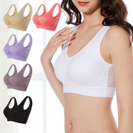 Yoga Outfit Sporty Women Bra Hollow Out Breathable Sports Solid Color Bralette Padded Seamless Brassiere Brelette Underwear For Fitness