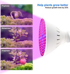 Led Grow Light E27 Phyto Lamp Plant Bulb Growth Light Hydroponics 126 200 300Led Greenhouse Tent 85-265V