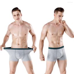 Underpants Cotton Men's Underwear Large Size Boxer Breathable Mid-Waist 3D Seamless Sexy U Convex Pouch XL-9XL