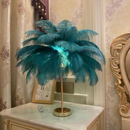 Table Lamps Usb Rechargeable Feather Lamp Led Ostrich Hair Bedroom Bedside Nordic Romantic