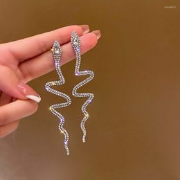 Dangle Earrings Vintage Sliver Colour Snake Shape For Women Girl Fashion Long Tassel Crystal Drop Earring Weddings Jewellery Bijoux