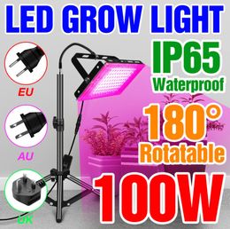 Full Spectrum LED Grow Light 50W 100W For Hydroponic Indoor Plants Growing Lamp For Greenhouse Seeding IP65 Waterproof