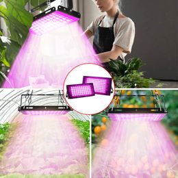 LED Plant Grow Light Phyto Lamp Full Spectrum Fitolamp Hydroponic Greenhouse Growth Bulb for Plants Seeds Vegetables