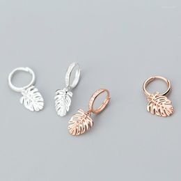 Hoop Earrings 925 Sterling Silver Women's Korean Version Small With Zircon Leaf Ear Button Temperament Jewelry