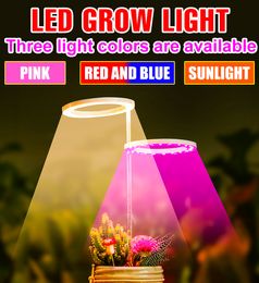 LED Plant Light Full Spectrum Phyto Grow Lamp 5V Bulb 1 2 3 4 Head LED Hydroponic Growth Planting