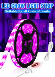 USB Phyto Lamp Full Spectrum Plant Growth Light Led Grow Strip Light Greenhouse Phytolamp for Plants Hydroponics Growing System