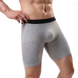 Underpants Sexy Mens Underwear Boxer Shorts Cotton Long Leg Penis Pouch Sleep Bottoms Sport Skinny Fitness Jogging