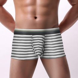 Underpants Sexy Underwear Men Boxers Shorts Cueca Brand Man Striped Cotton Mid-waist U Convex Pouch Calzoncillos Marcas S-L