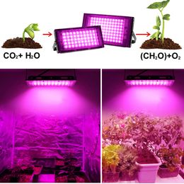 Led Grow Lights Phyto Lamp 200W Full Spectrum Plants Light Hydroponics Growing System Greenhouse Flower Seed Grow Tent