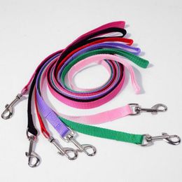 Dog Collars 120cm Length Durable Nylon Pet Long Leash Lead For XSmall Dogs 1.5cm Width