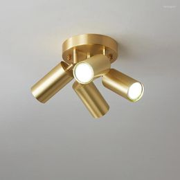 Ceiling Lights Modern Minimalist Led Lamp Light Luxury Nordic Golden Adjustable Spotlight Aisle Corridor Surface Mounted