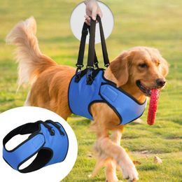 Dog Collars Universal Pet Assistance Harness Adjustable Assisted Walking Strong Bearing Leg Belt