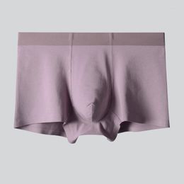 Underpants Wholesale Custom High Quality Breathable Pure Cotton Men Short Boxer Brief Underwear