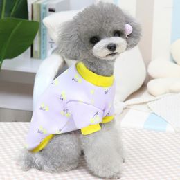 Dog Apparel Cartoon Pet Clothes Autumn Winter Two-legged Sweater Comfortable And Warm Coat Jacket Small Shirt