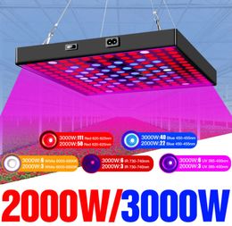 2000W/3000W LED Grow Lights Panel Switch on/off 660nm Red Light Therapy 850nm Near Infrared for Skin and Pain Relief Grow Lamps