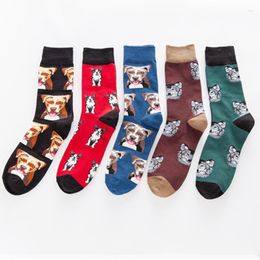 Men's Socks 2023 Funny Happy Pure Cotton 10 Styles Dog Tube Men Fashion Colourful Casual Male Gift