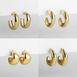 Hoop Earrings Gold Colour Stainless Steel Hoops For Women Men Trendy Punk Jewellery Geometric Circle Piercing High Quality