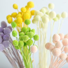 Decorative Flowers 7pcs 0.8-2cm Heads 30CM Preserved Ball Natural Fresh Eternell Craspedia Bouquets Forever Gold Orbs Flower