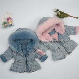 Jackets 2023 Winter Coat For Kids / Baby Girl Clothes Jean With Fur Hoody Toddler Fall