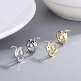 Hoop Earrings Trendy Retro Snake For Women Simple Cute Animal Vintage Fashion Party Jewelry Brincos Pendientes Accessories