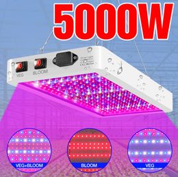 Full Spectrum LED Light 220V Plant Grow Light Bulb 110V 4000W 5000W Fitolampy Greenhouse Hydroponic Box Lighting Lamp