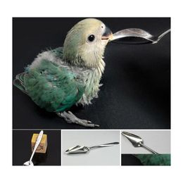 Other Bird Supplies Parrot Feeding Spoon Stainless Steel Water Milk Powder Pet Chicks Drop Delivery Home Garden Dhuh2