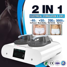 5000W 13 Tesla Ems Train RF Radio Frequency Buttock Toning Electronic Muscle Stimulator Cellulite Reduction 2 Years Warranty