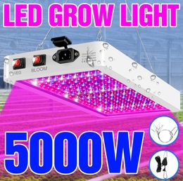 Full Spectrum LED Grow Light 220V Plant Bulbs 110V Hydroponic Lamp 4000W 5000W Greenhouse Fito Lamps Flower Growth Lighting Box