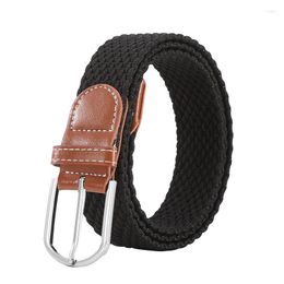 Belts Selling Unisex Canvas Belt Trend Pin Buckle Design Elastic Force Weave Women Outdoor Casual Jeans