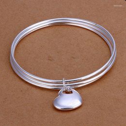 Bangle Fine Silver Plated 925-sterling-silver Jewellery 3circle&heart Bracelets Bangles For Women Men SK175