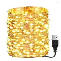 Strings Waterproof USB/Battery LED String Light 5M 10M Copper Wire Fairy Garland Lamp For Christmas Wedding Party Holiday Ligh