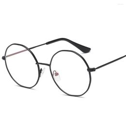 Sunglasses Frames Irregular Round Glasses Frame Retro Female Brand Designer Gafas De Sol Spectacle Plain Eye Eyeglasses Eyewear
