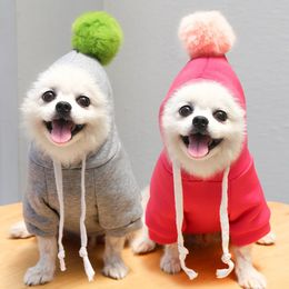 Dog Apparel Cartoon Fleece Cat Pet Teddy Method Bucket Autumn Winter Clothes Leung Bugs Puppy Accessories Pitbull