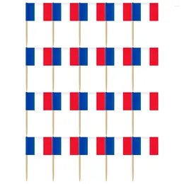 Garden Decorations 200pcs World Country Stick Flags Picks Party Decoration Celebration French Flag Toothpick Miniature