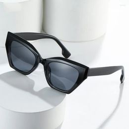Productos de gafas de sol para mujeres Cat Eye Compre Versátil Marco pequeño Punk Multi-Color Mujeres