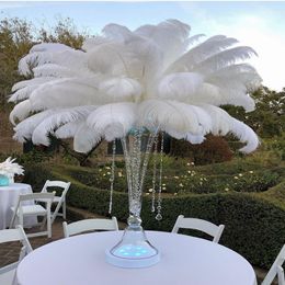 Other Home Garden Wholesale White Ostrich Feather Natural Plume for Wedding Party centerpiece Handicraft Decoration Craft Feathers 25 30cm 10 12" 230105