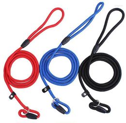 Dog Collars Nylon Rope Whisperer Cesar Millan Style Slip Training Leash Lead And Collar Red Blue Black Colours SN772