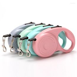 Dog Collars Fashion Pet Chain Automatic Retractable Leashes For Small Cat Puppy Accessories