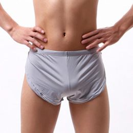 Underpants Men's Sexy Side Split Boxers Shorts Trunks Briefs Adults Low Rise Underwear1