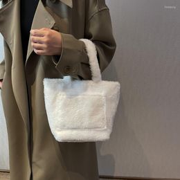 Evening Bags Plush Handbag Women 2023 Korean Version Of The Foreign Tote Bag Autumn And Winter Trend 100