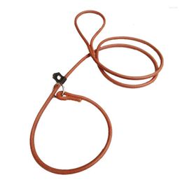 Dog Collars Leather Slip Leash For Puppy Small Dogs Soft Training P Leads Chihuahua Yorkies Traction Rope Cowhide Collar Chain 150cm