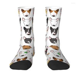 Men's Socks Cool Print Multi Bull Repeat For Men Women Stretch Summer Autumn Winter Dog Lover Terrier Crew