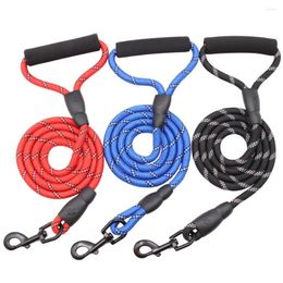 Dog Collars & Cat Leash Rope Small Medium Pet Supplies MIDG