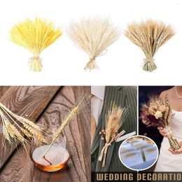 Decorative Flowers 100pcs Real Dried Wheat Ear Flower Natural Grass Wedding Party Decoration