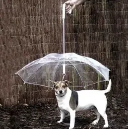 Quality Transparent PE Pet Umbrella Small Dogs Umbrella Rain Gear with Dog Leads Keeps Pets Dry Comfortable in Rain
