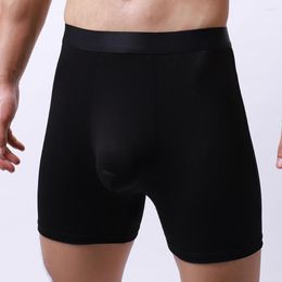 Underpants Mens Mesh Breathable Underwear Long Leg Boxer Pouch Briefs Trunks Men's Shorts