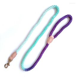 Dog Collars Big Leash For A Cotton Leashes Large Dogs Copper Hook Walking Training Lead