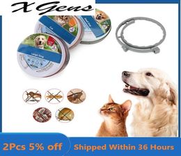 Dog Antiparasitic Collar Dog Anti -Flea e Tick Collar para colares de pulgas de gato de cachorro pequenos colares de desworming retráteis Supplies9821435
