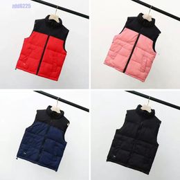 Designer Gilet Kids North Jackets Down Coat Vests Top Heat Waistcoat Design for Baby Bodywarmer Puffer The Face Jacket Woman Outwear Fashion Winter Sleeveless 2023