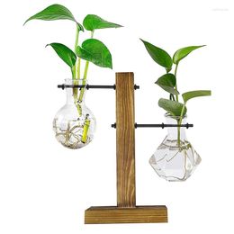 Vases Plant Terrarium With Wooden Stand Desktop Water Planting Glass Vase Simplicity For Hydroponics Home Office Decor